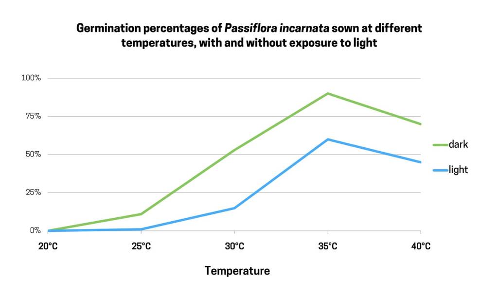 Line graph showing how passionflower germination varies with temperature, with one line for seeds germinated in darkness and another line for seeds germinated in light. For both, germination peaks at 35°C, with those germinated in darkness reaching about 90% germination.