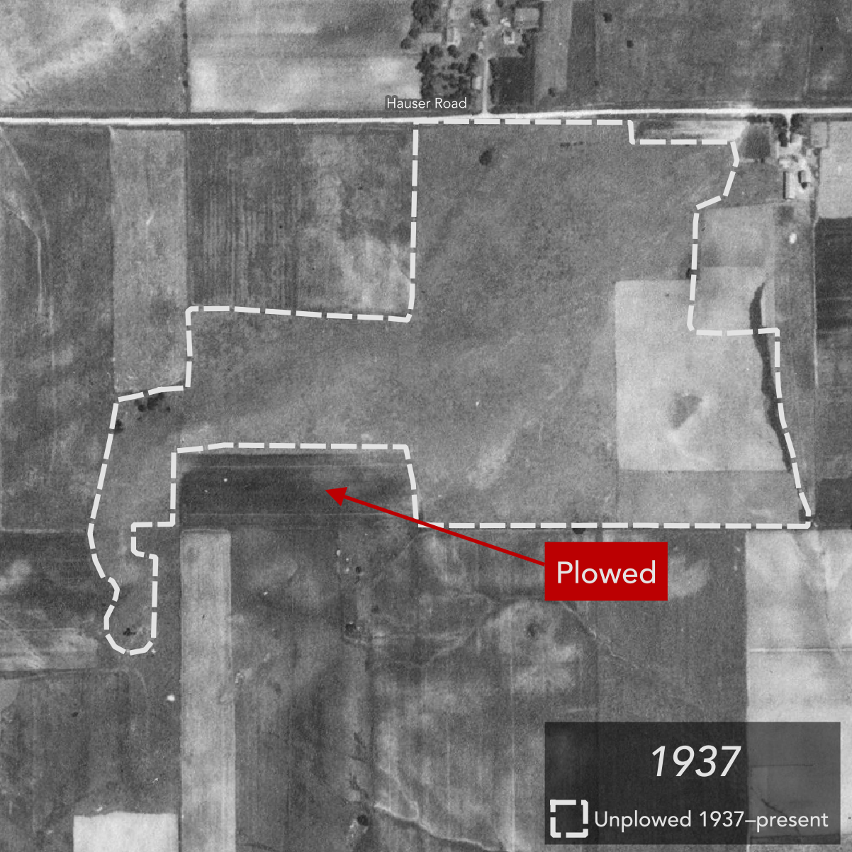 The Remnants of the Empire Prairie